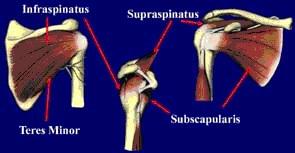 Rotator Cuff Tears